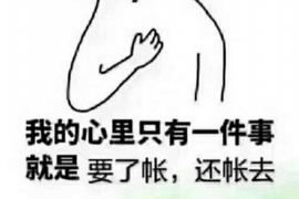 桂林贷款清欠服务